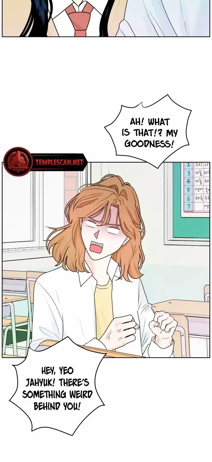 My Introverted Boy Chapter 1 page 34 - 