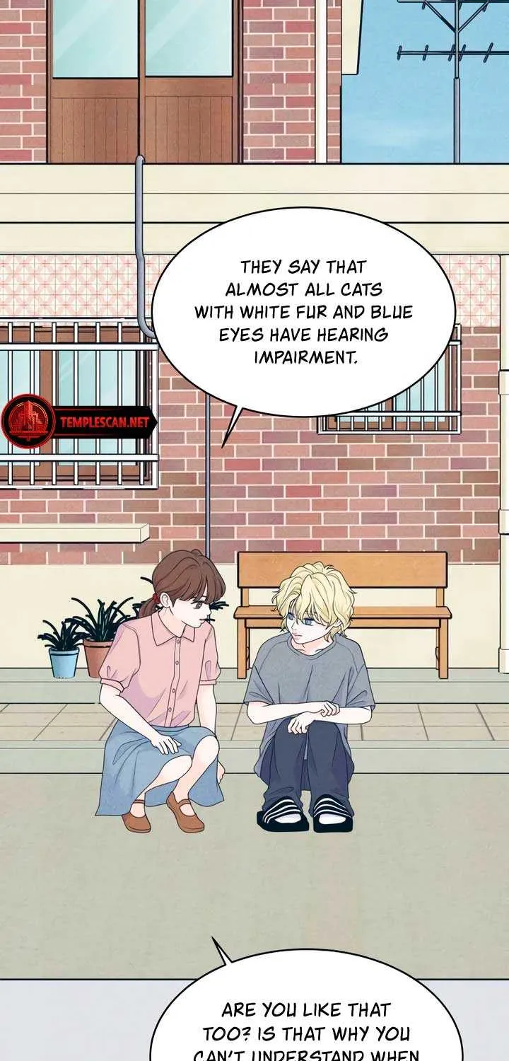 My Introverted Boy Chapter 48 page 7 - 