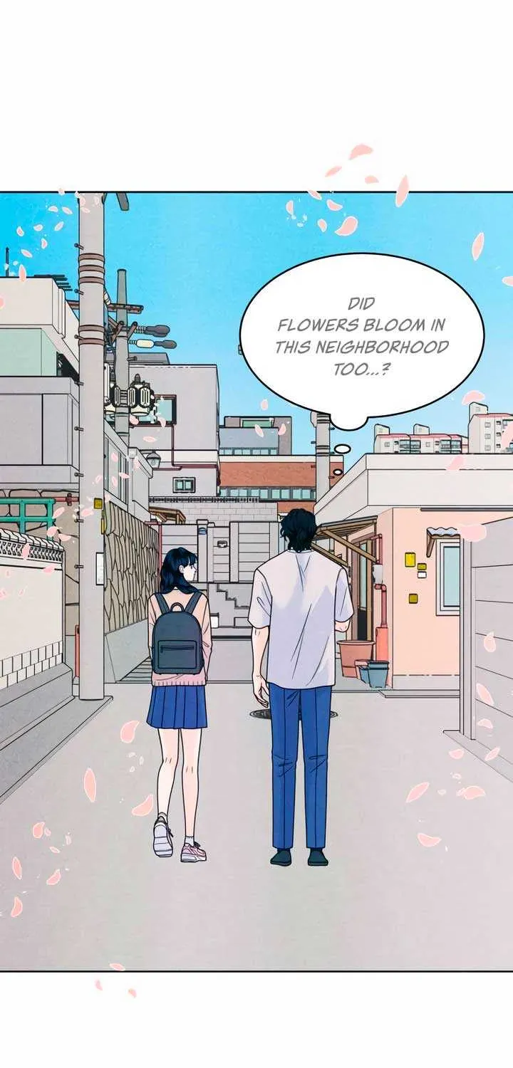 My Introverted Boy Chapter 50 page 43 - 