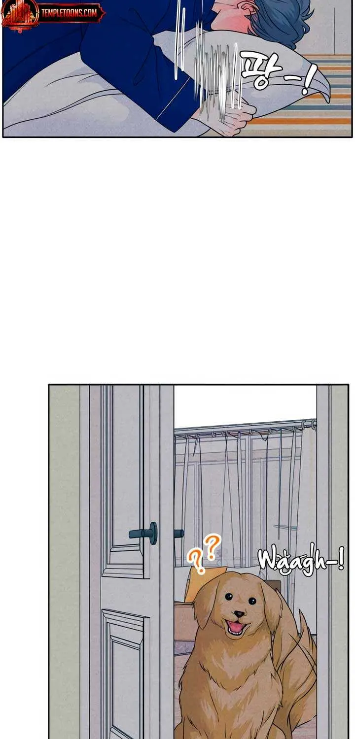 My Introverted Boy Chapter 85 page 20 - 