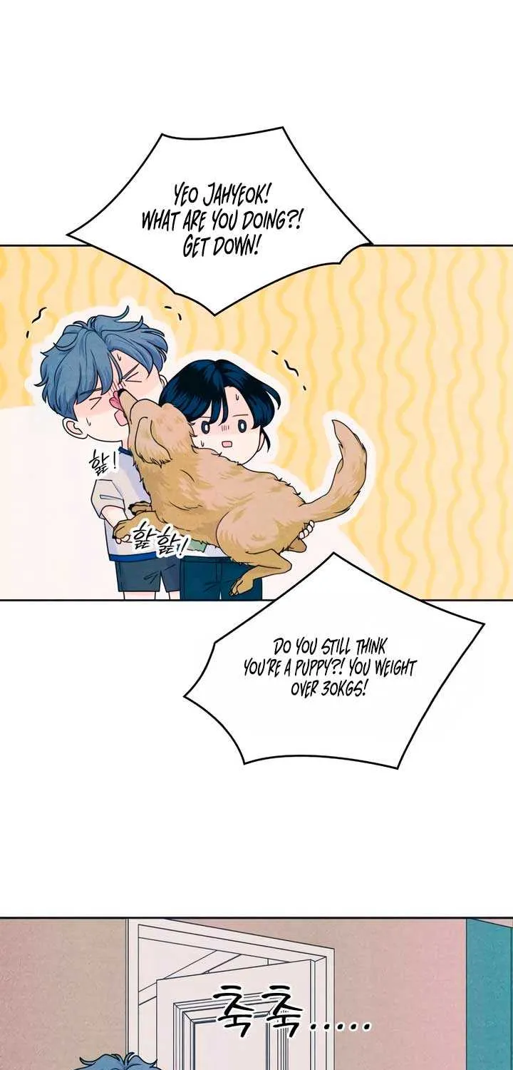 My Introverted Boy Chapter 85 page 46 - 