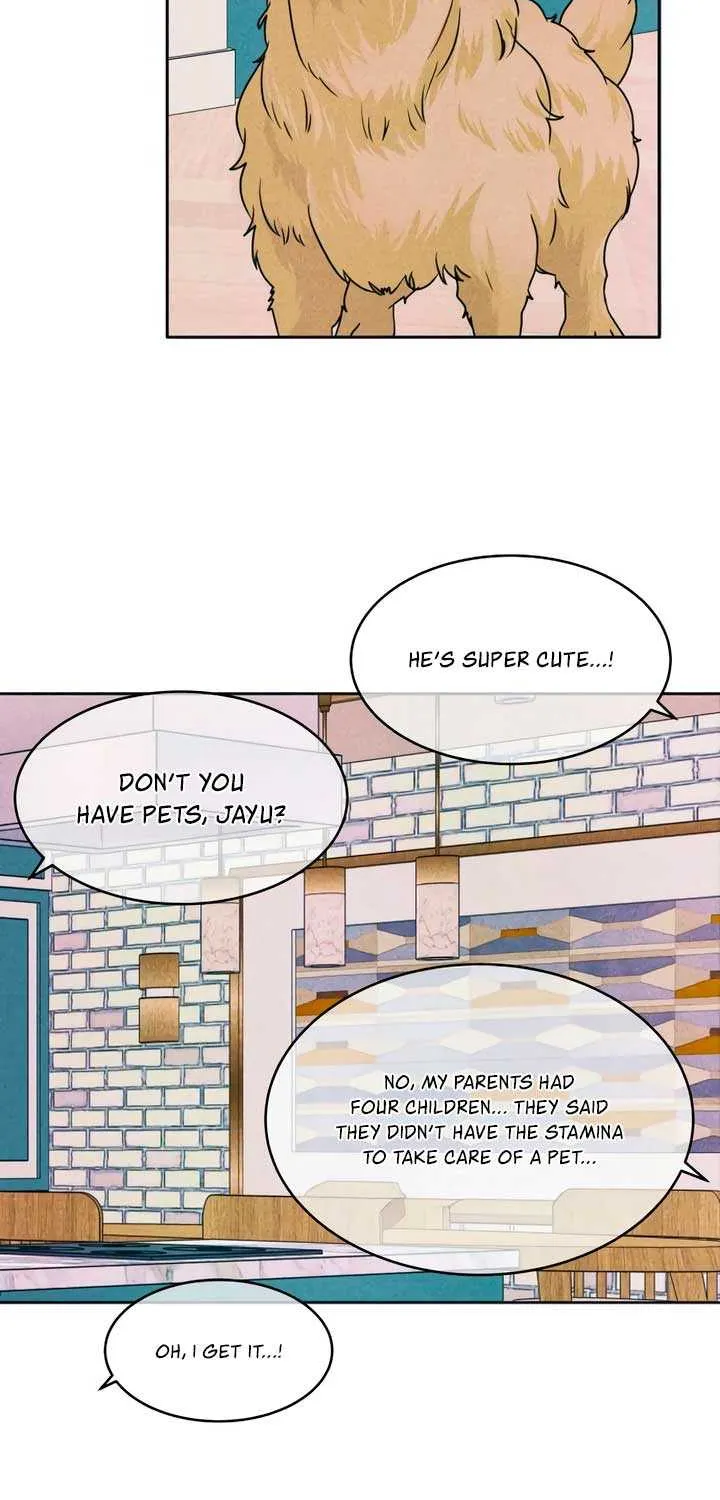 My Introverted Boy Chapter 85 page 48 - 