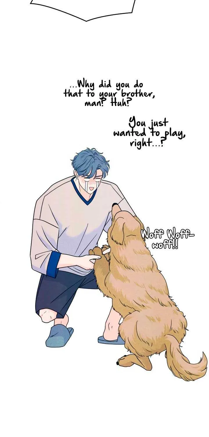 My Introverted Boy Chapter 85 page 51 - 