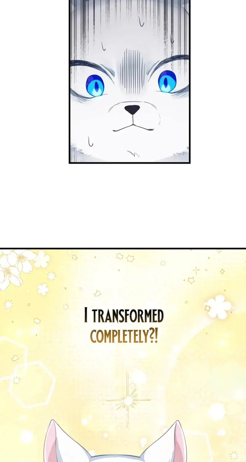 My Kidnapper Is My Arranged Marriage Partner?! Chapter 1 page 43 - 