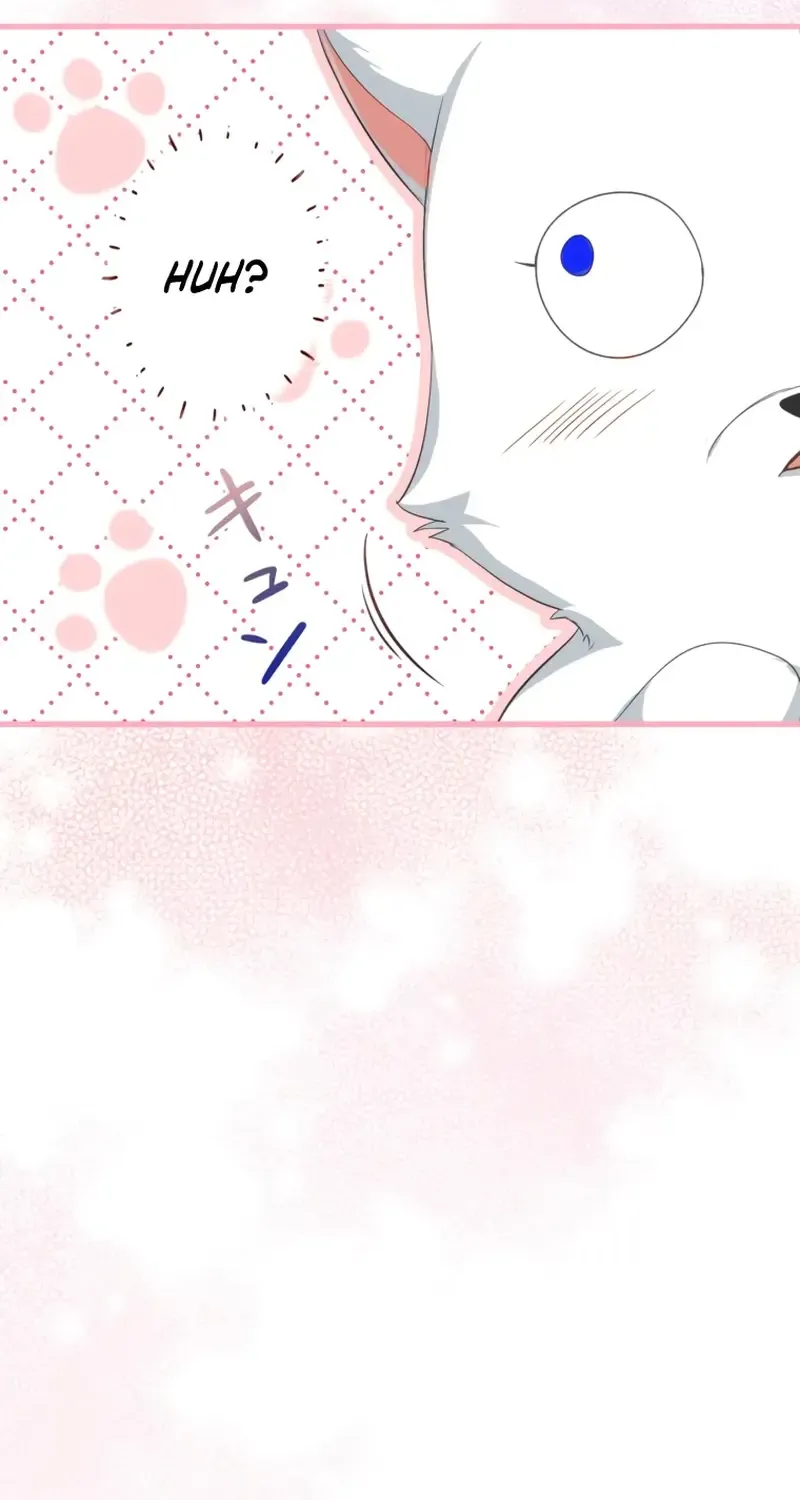 My Kidnapper Is My Arranged Marriage Partner?! Chapter 1 page 70 - 
