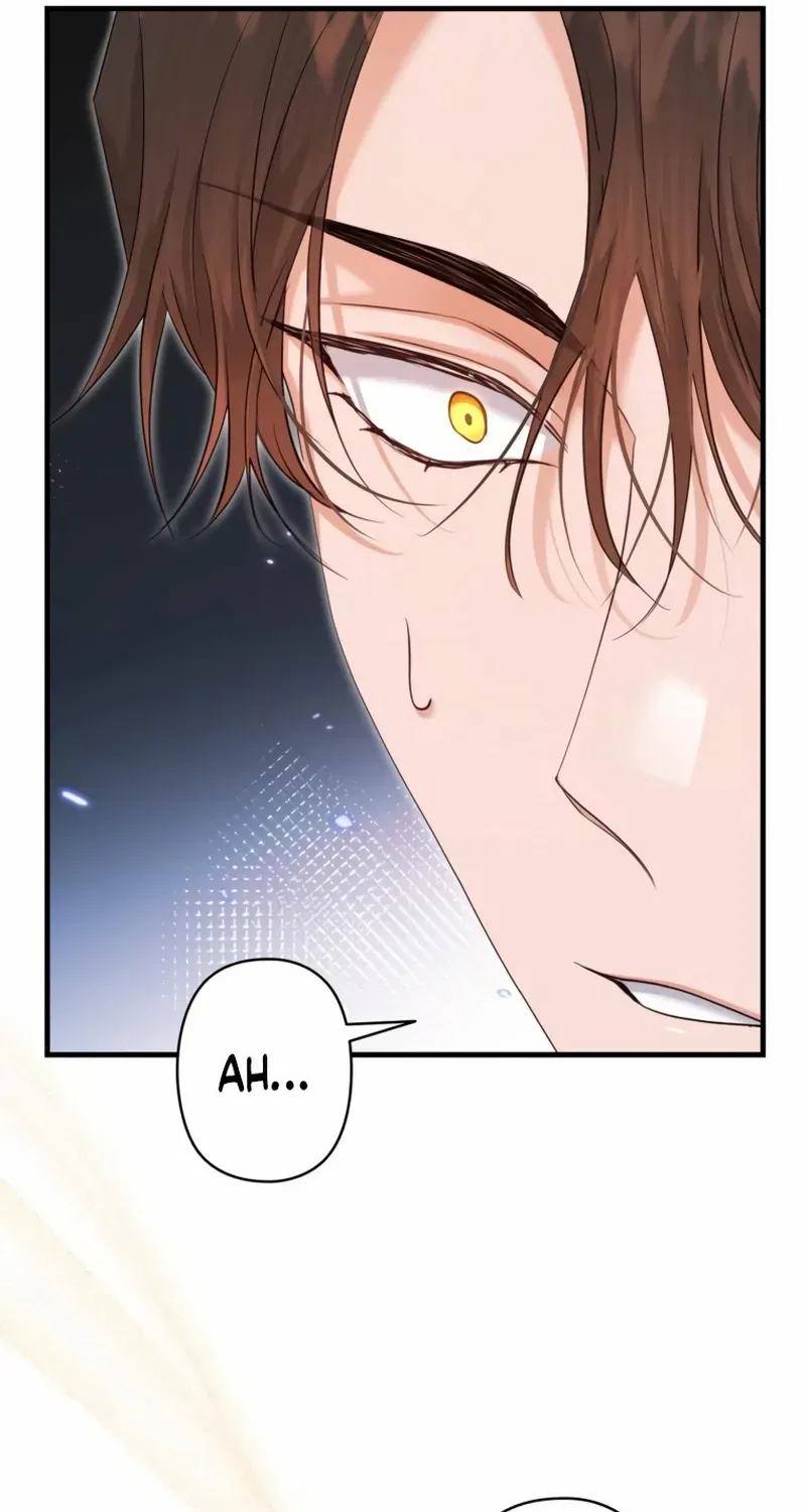 My Kidnapper Is My Arranged Marriage Partner?! Chapter 11 page 71 - 