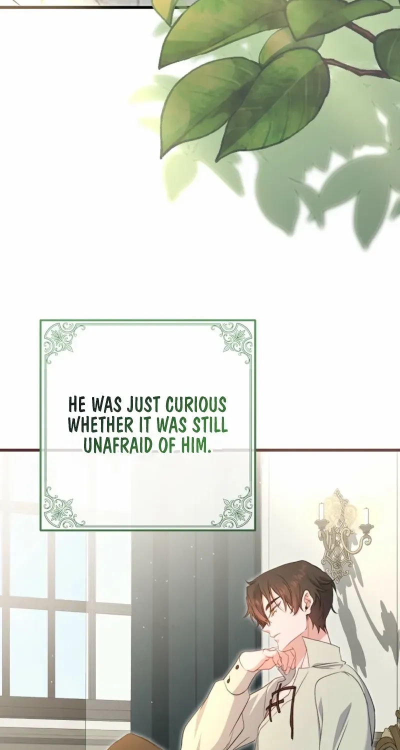 My Kidnapper Is My Arranged Marriage Partner?! Chapter 18 page 71 - 