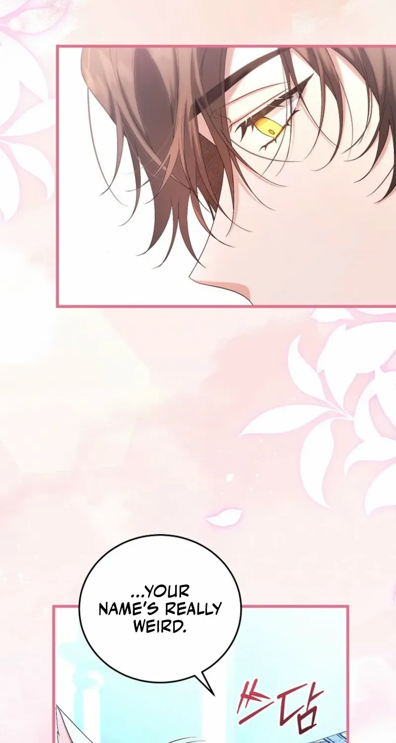 My Kidnapper Is My Arranged Marriage Partner?! Chapter 19 page 20 - 