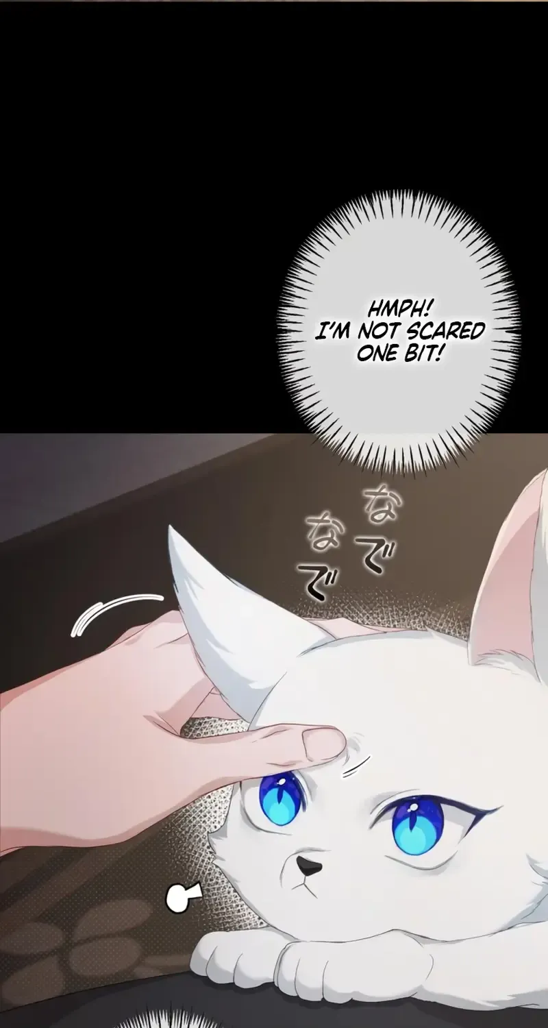 My Kidnapper Is My Arranged Marriage Partner?! Chapter 2 page 6 - 
