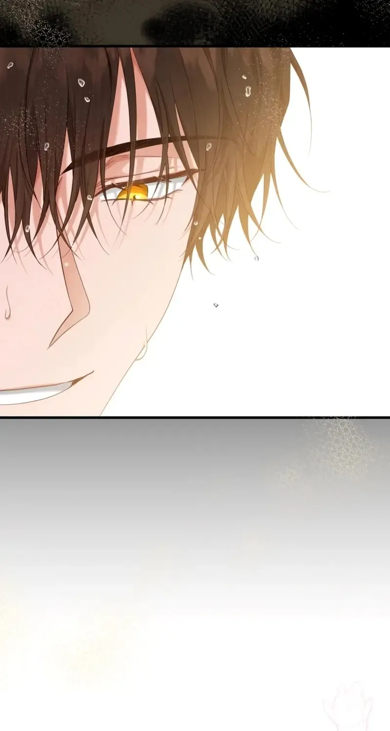 My Kidnapper Is My Arranged Marriage Partner?! Chapter 7 page 11 - 