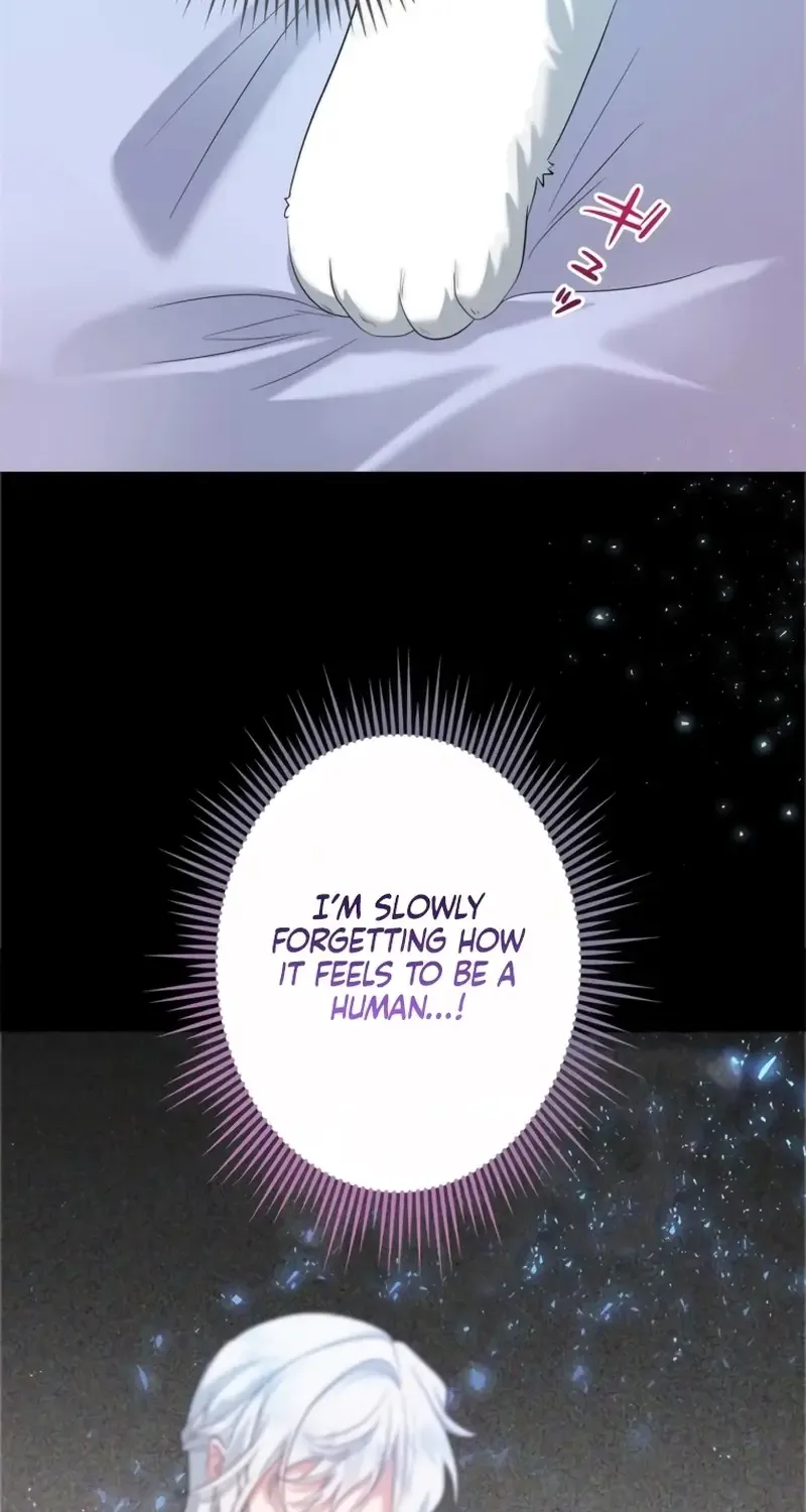My Kidnapper Is My Arranged Marriage Partner?! Chapter 7 page 46 - 