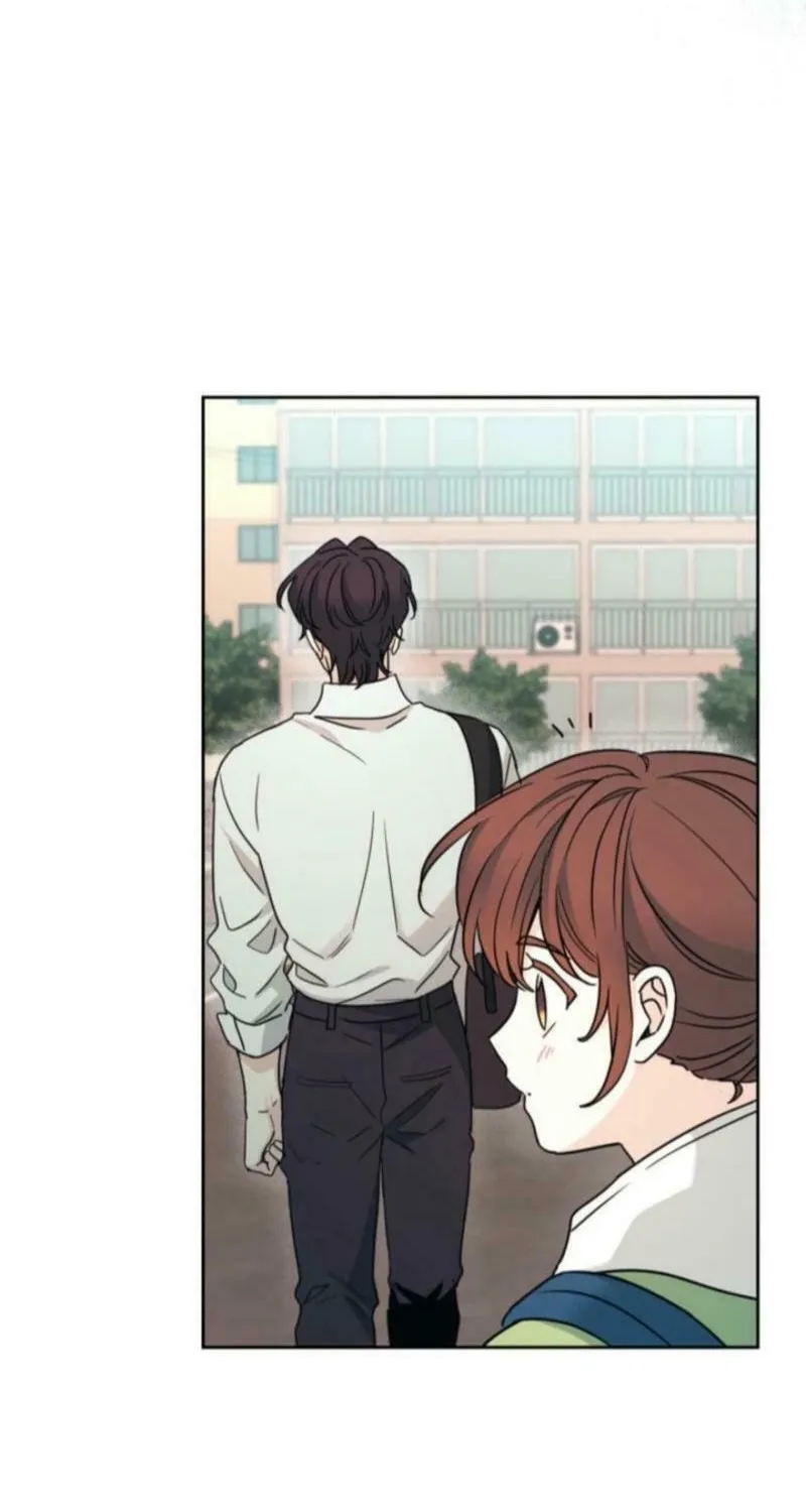 My Life as an Internet Novel Chapter 243 page 66 - 
