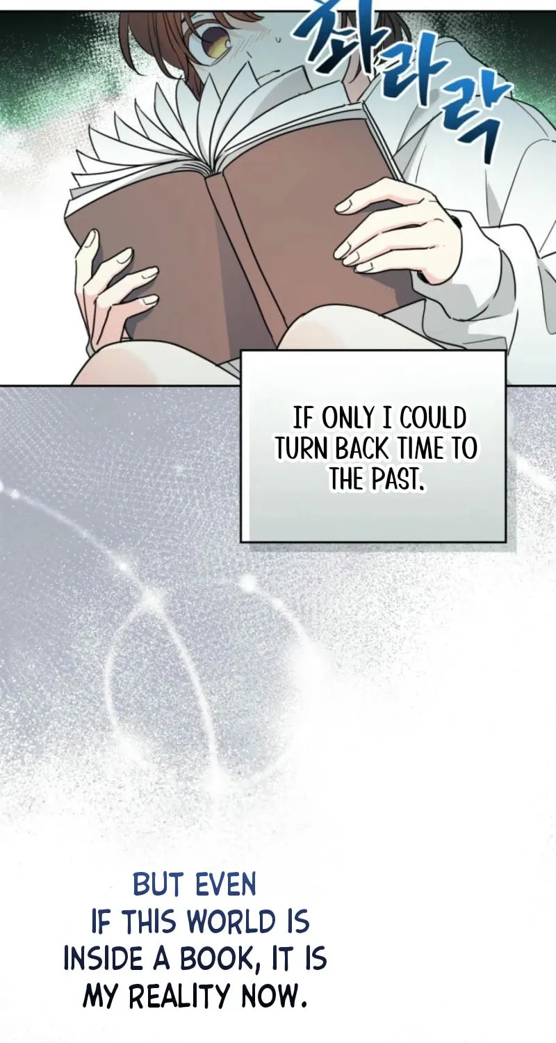 My Life as an Internet Novel Chapter 245 page 61 - 