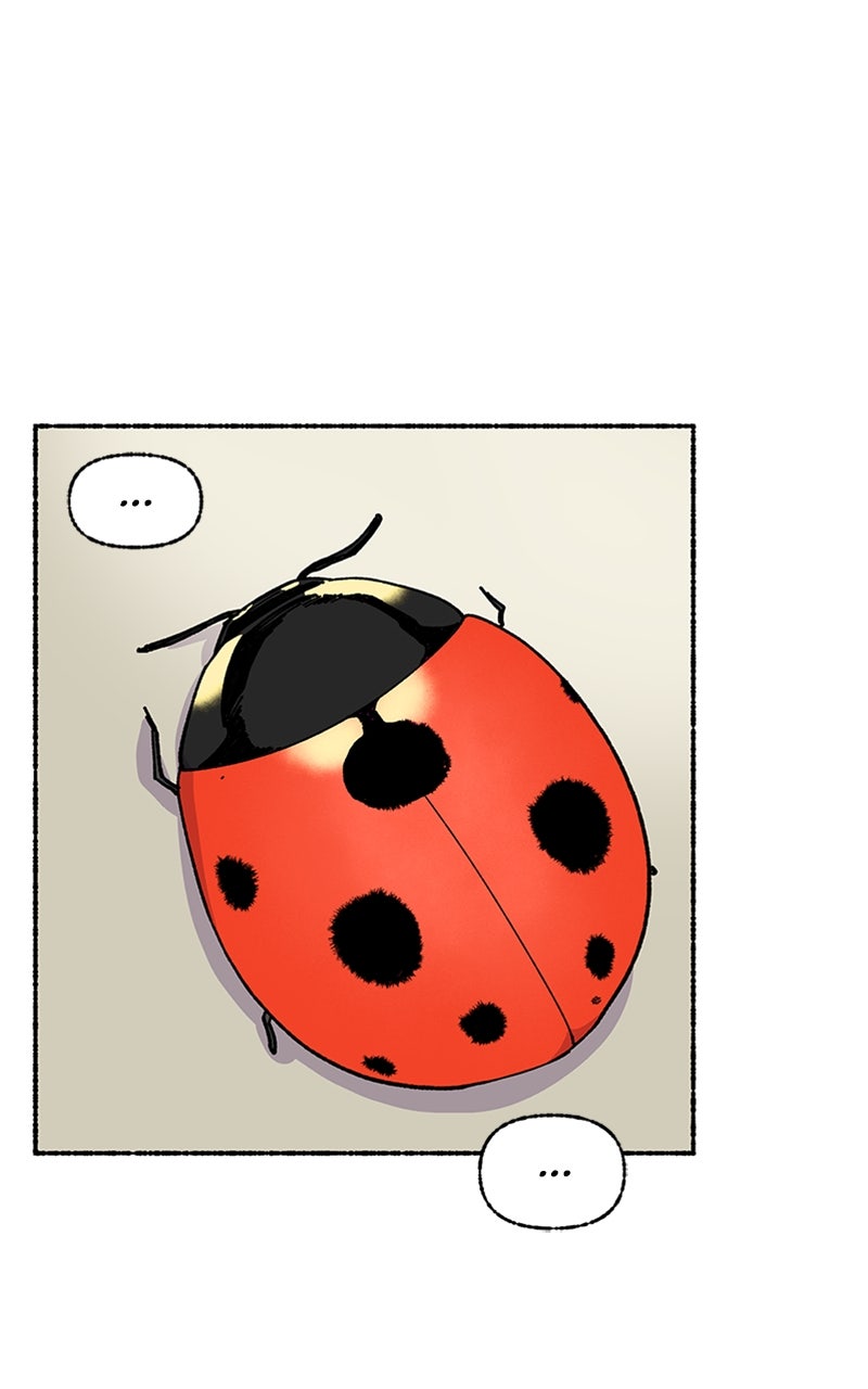 My Little Sister is theDemon Lord! Ep. 35 - A Day in the Life of Malsook (1) page 92 - 