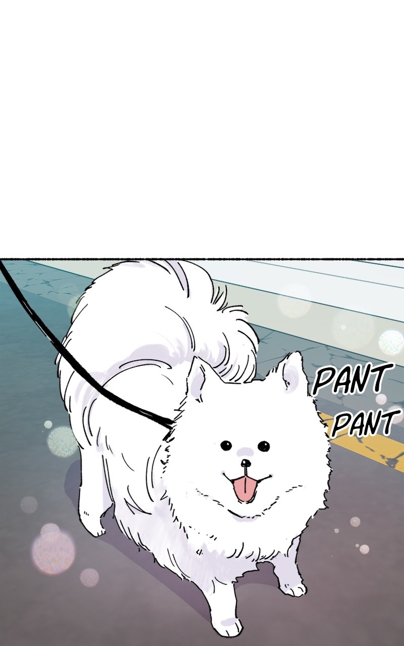 My Little Sister is theDemon Lord! Ep. 6 - Dodgeball is a Game page 116 - 