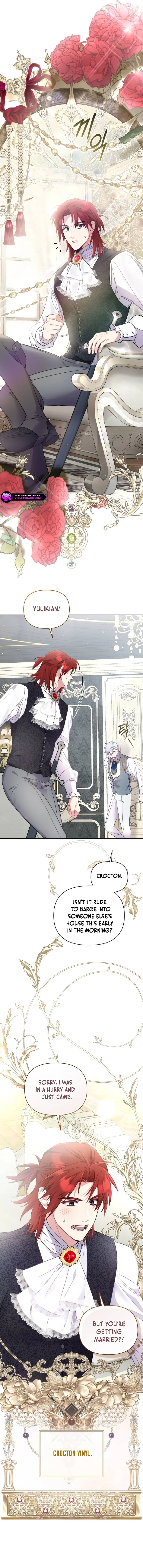 My Mad Fake Marriage to Maddie Chapter 13 page 19 - 