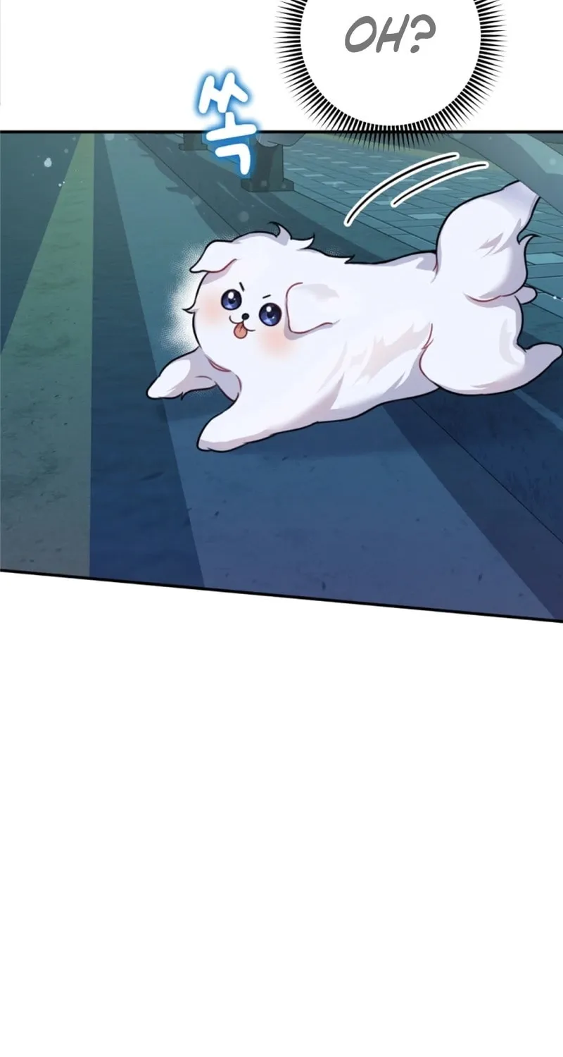 My Masculine Puppy Chapter 1 page 23 - 