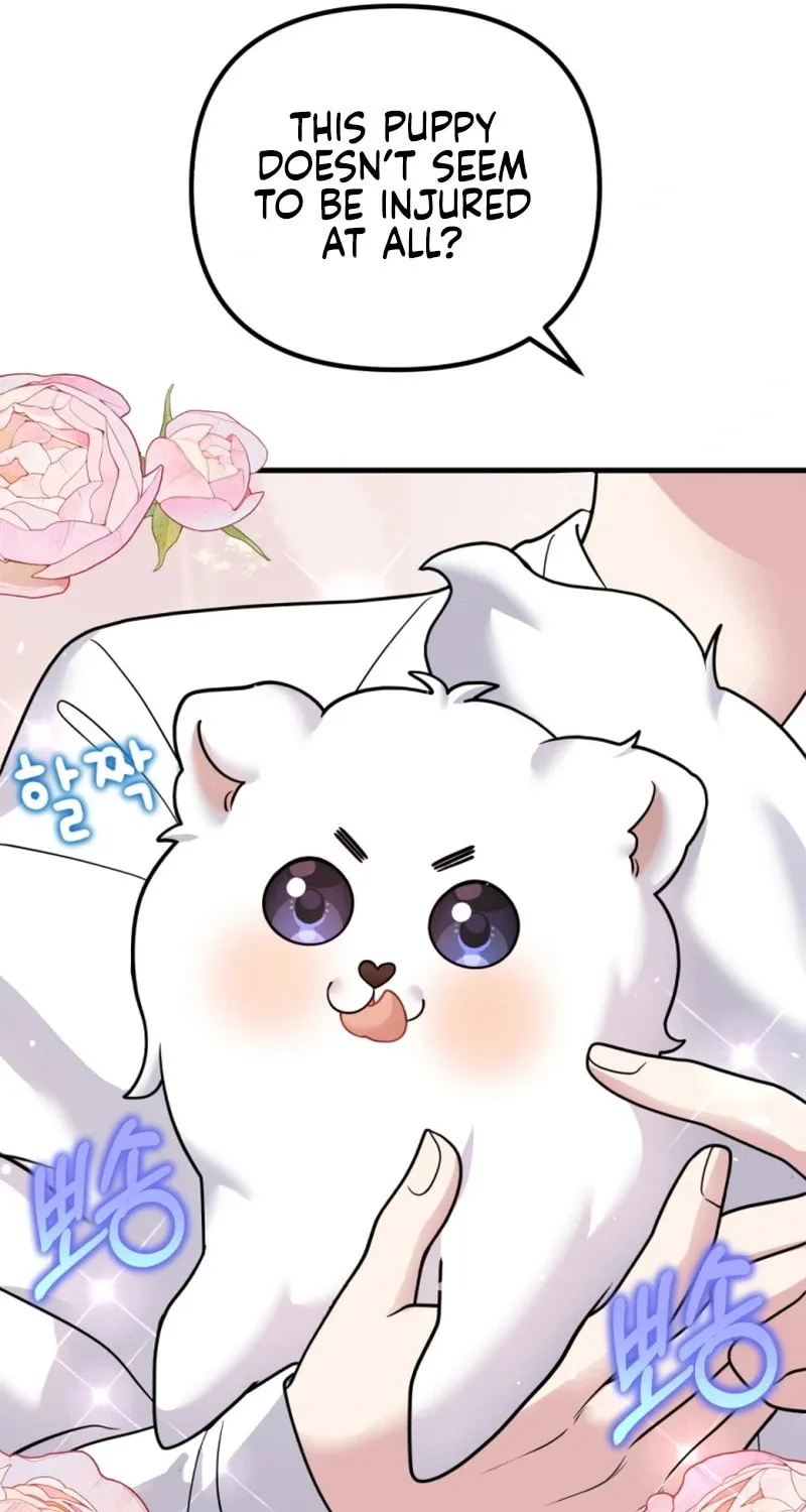 My Masculine Puppy Chapter 1 page 48 - 