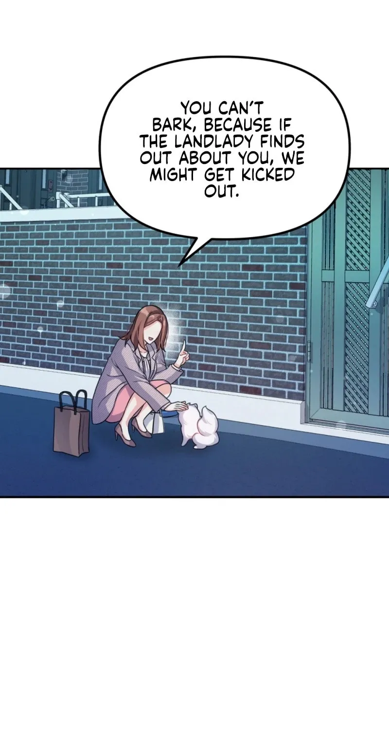 My Masculine Puppy Chapter 1 page 66 - 