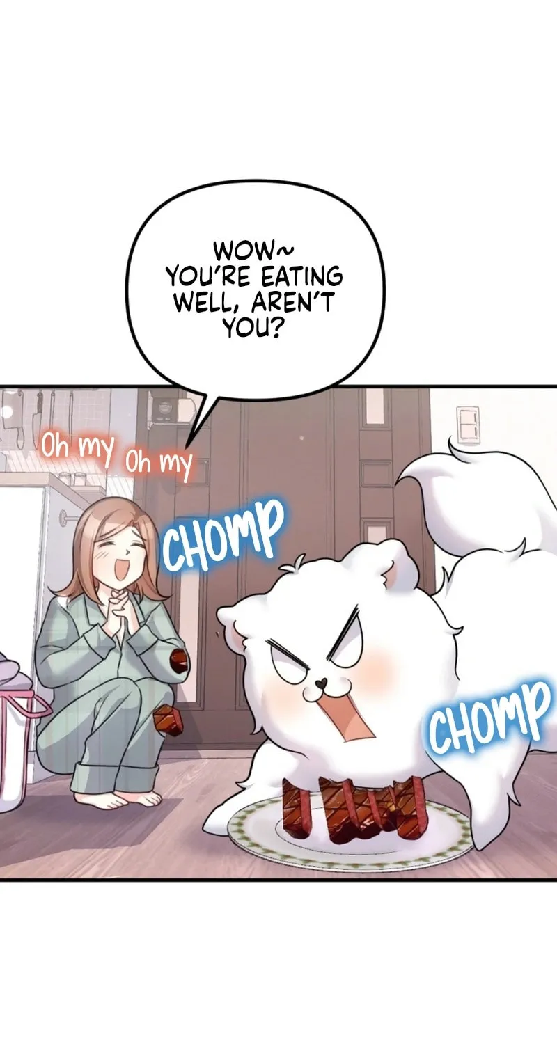 My Masculine Puppy Chapter 1 page 79 - 