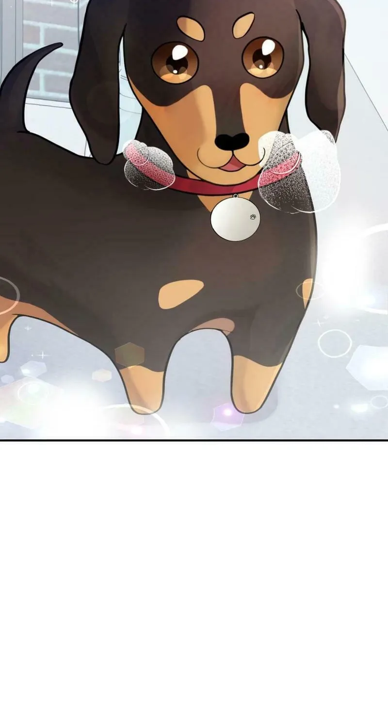 My Masculine Puppy Chapter 11 page 99 - 