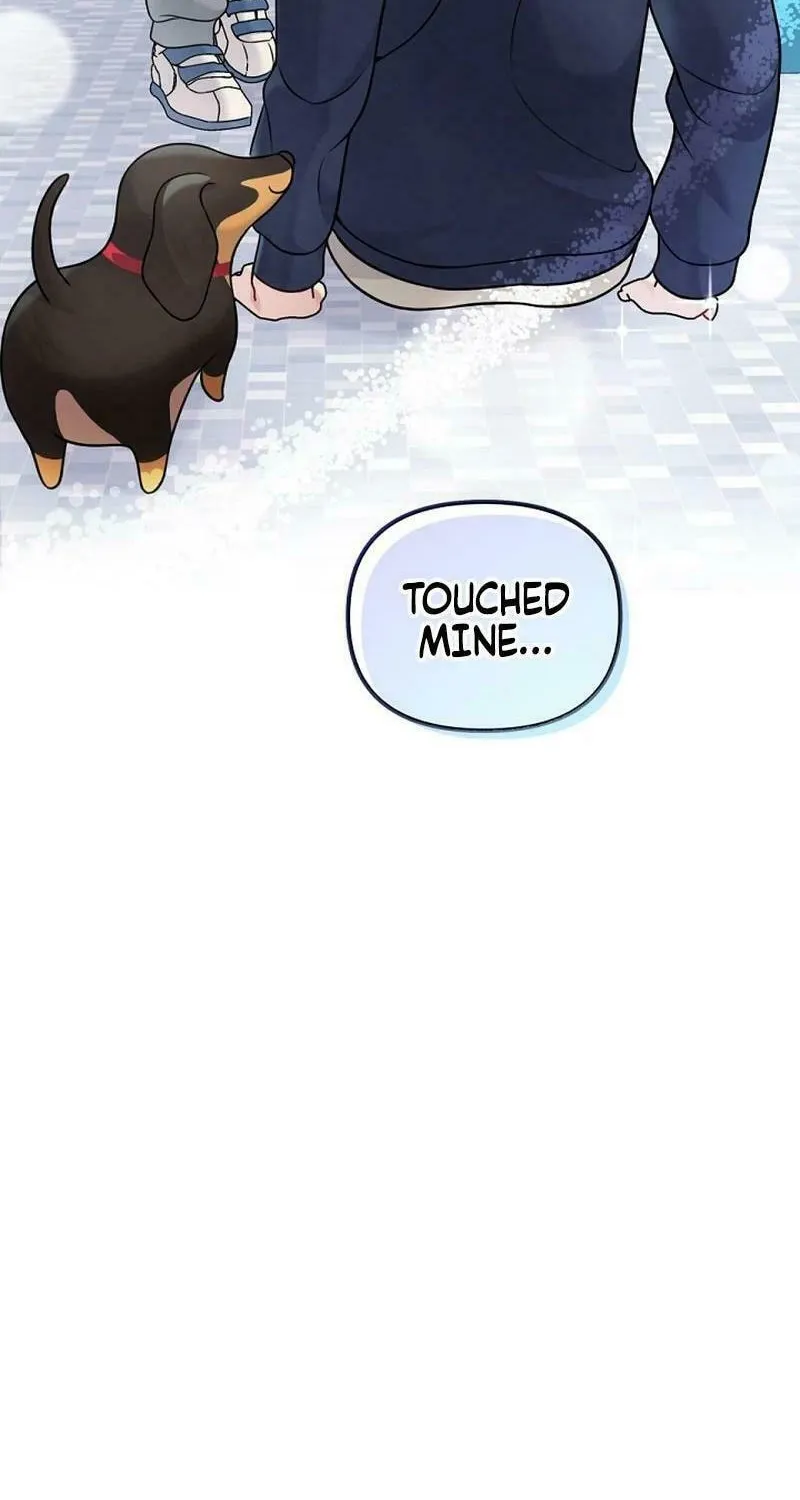 My Masculine Puppy Chapter 12 page 102 - 