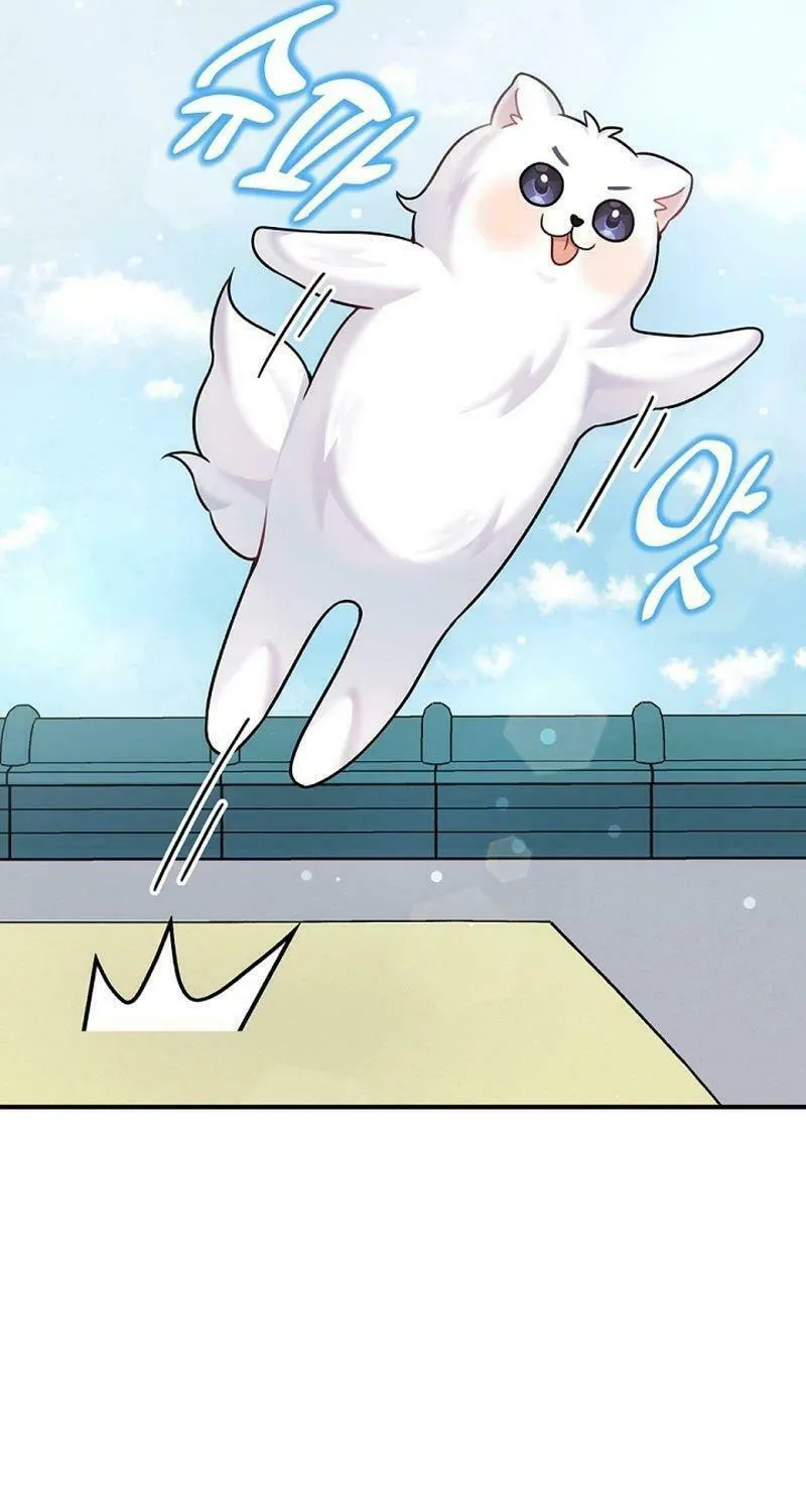 My Masculine Puppy Chapter 12 page 63 - 