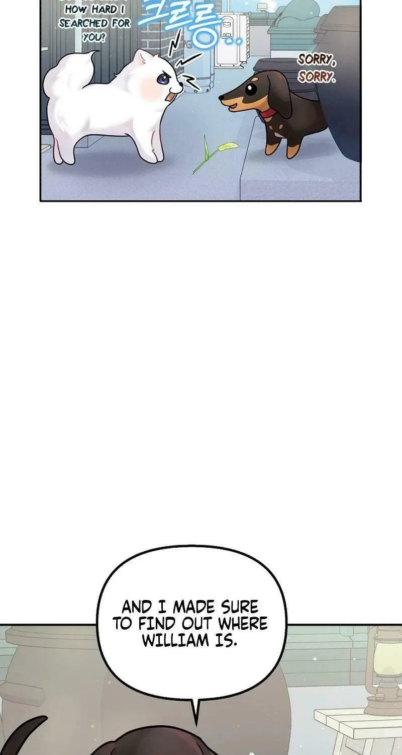 My Masculine Puppy Chapter 12 page 68 - 
