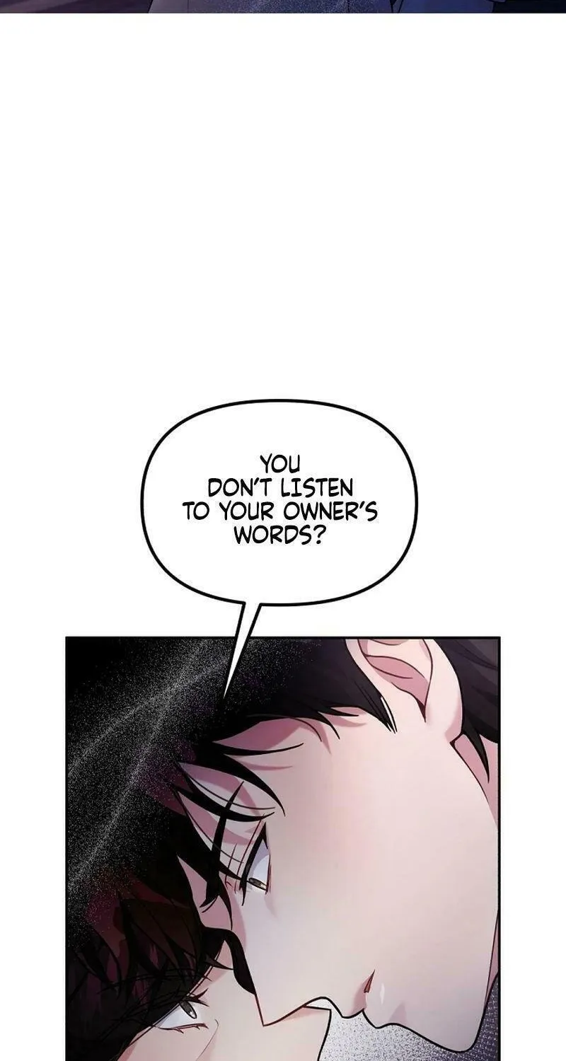 My Masculine Puppy Chapter 12 page 8 - 
