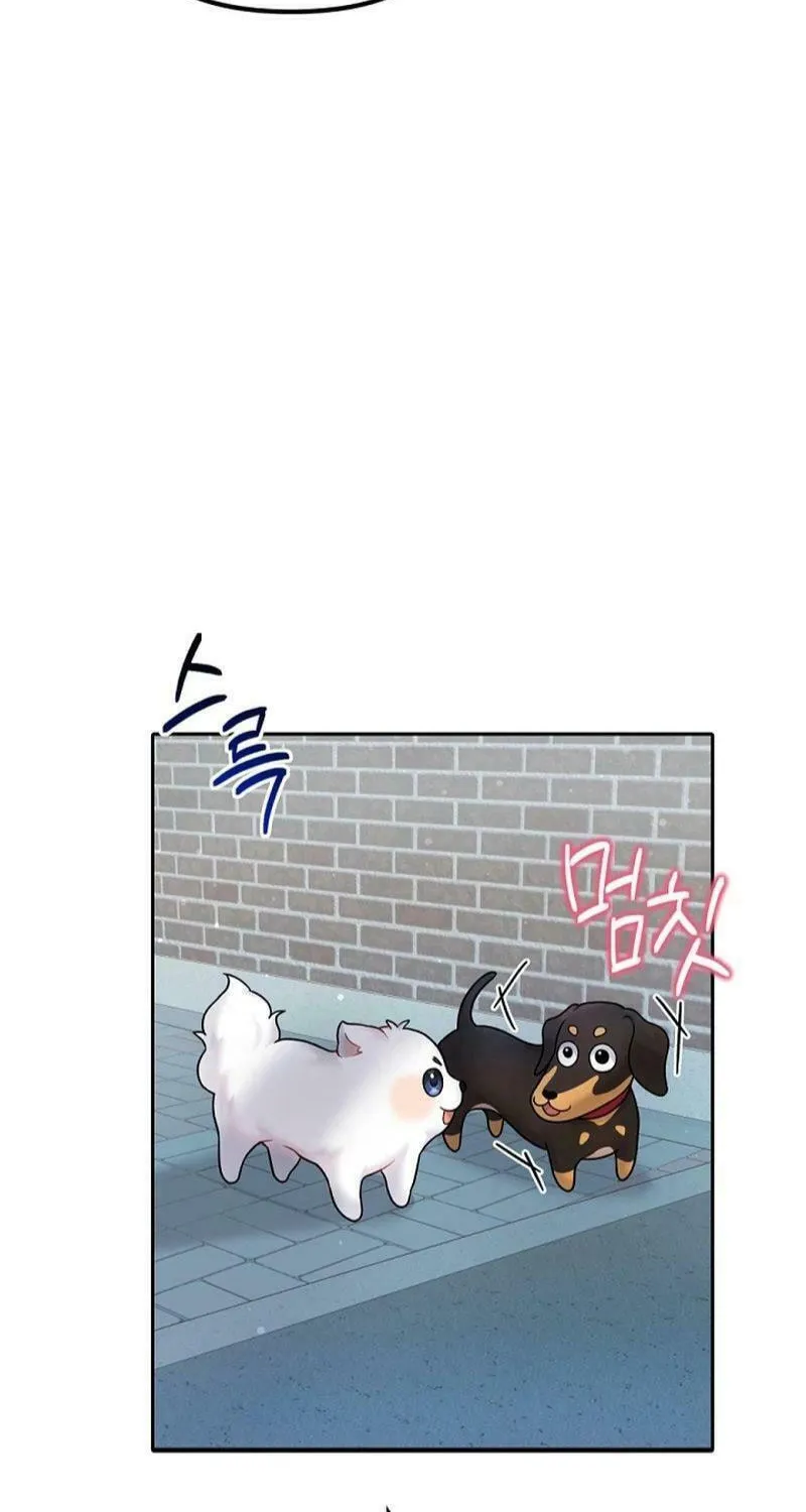 My Masculine Puppy Chapter 12 page 74 - 