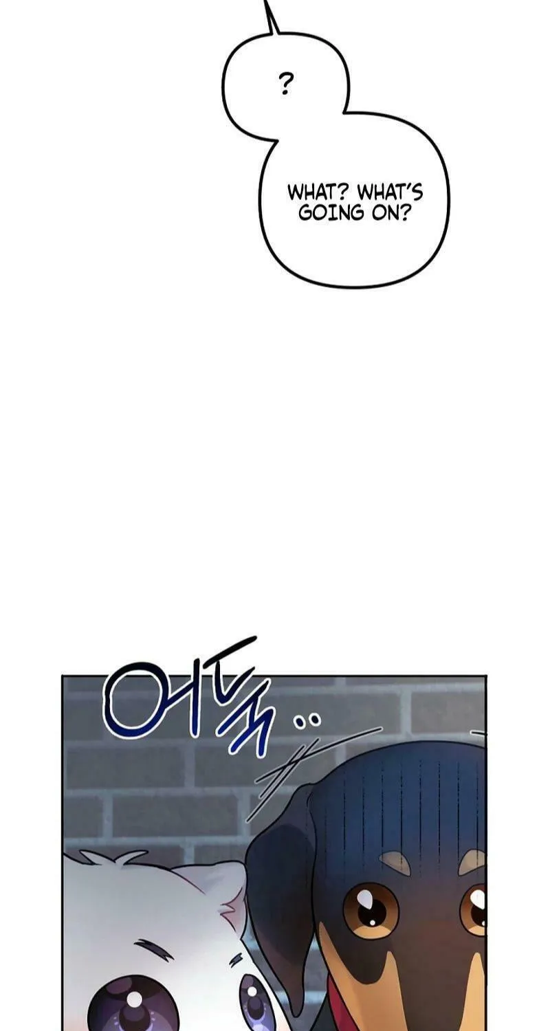 My Masculine Puppy Chapter 12 page 75 - 