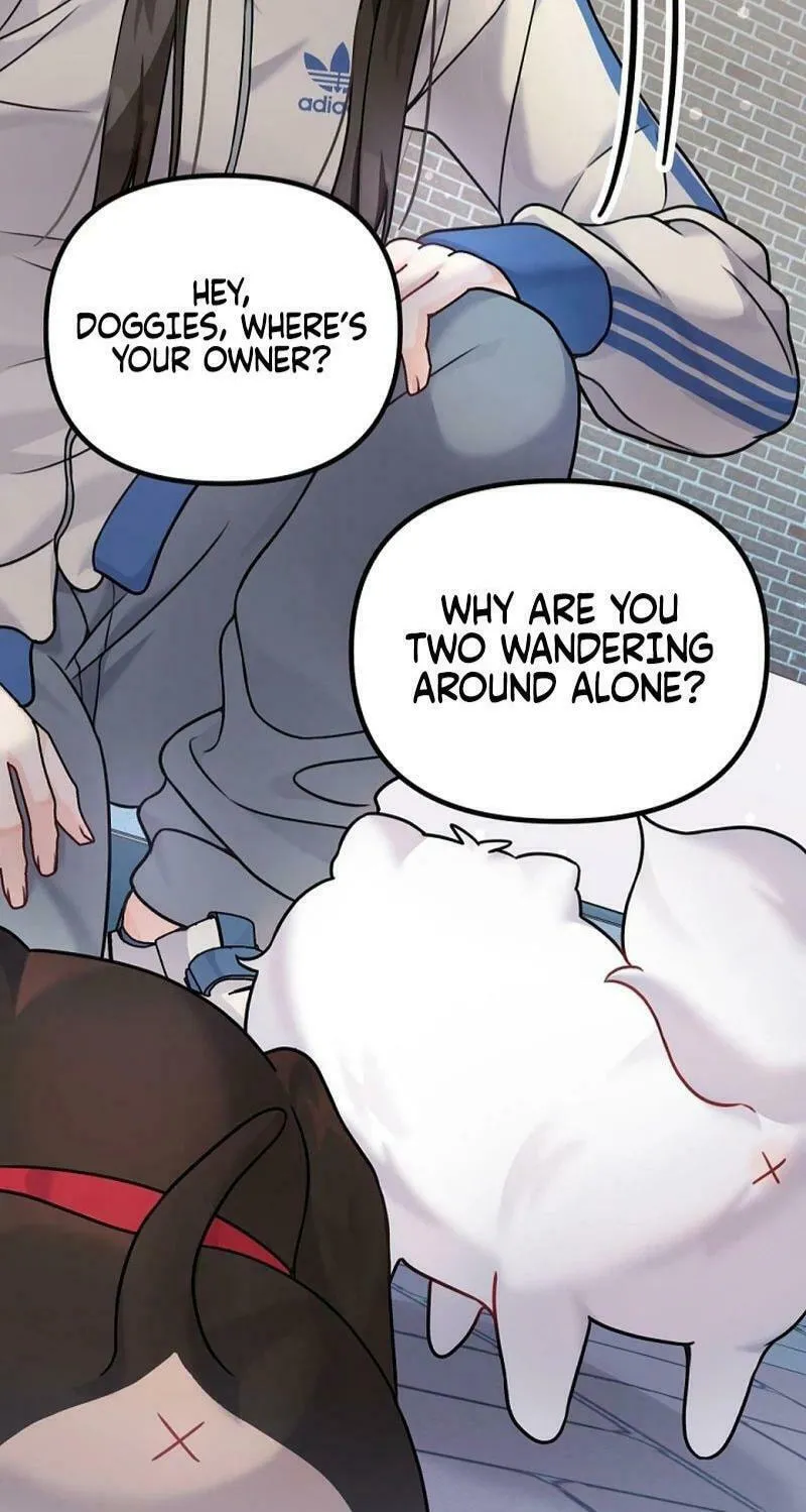 My Masculine Puppy Chapter 12 page 77 - 