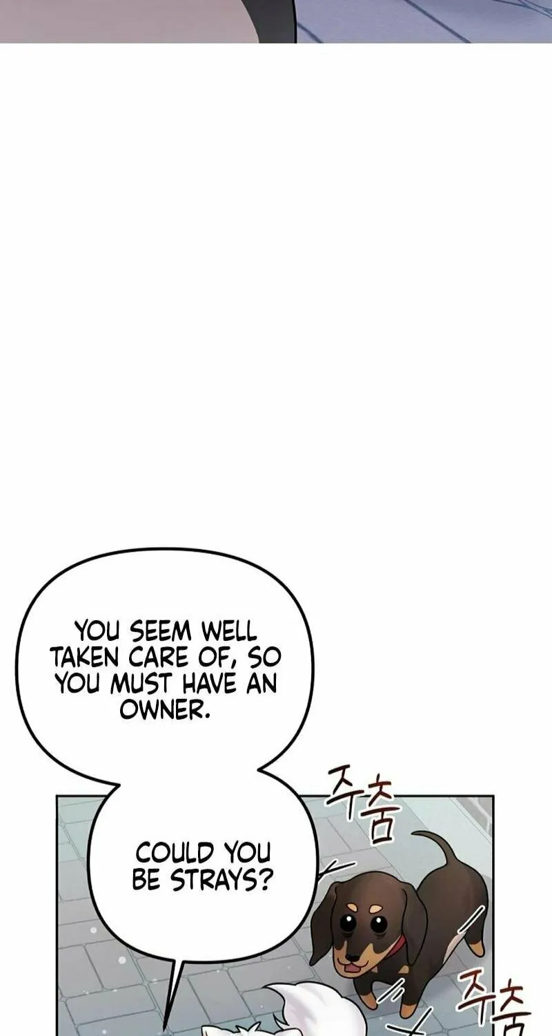 My Masculine Puppy Chapter 12 page 78 - 