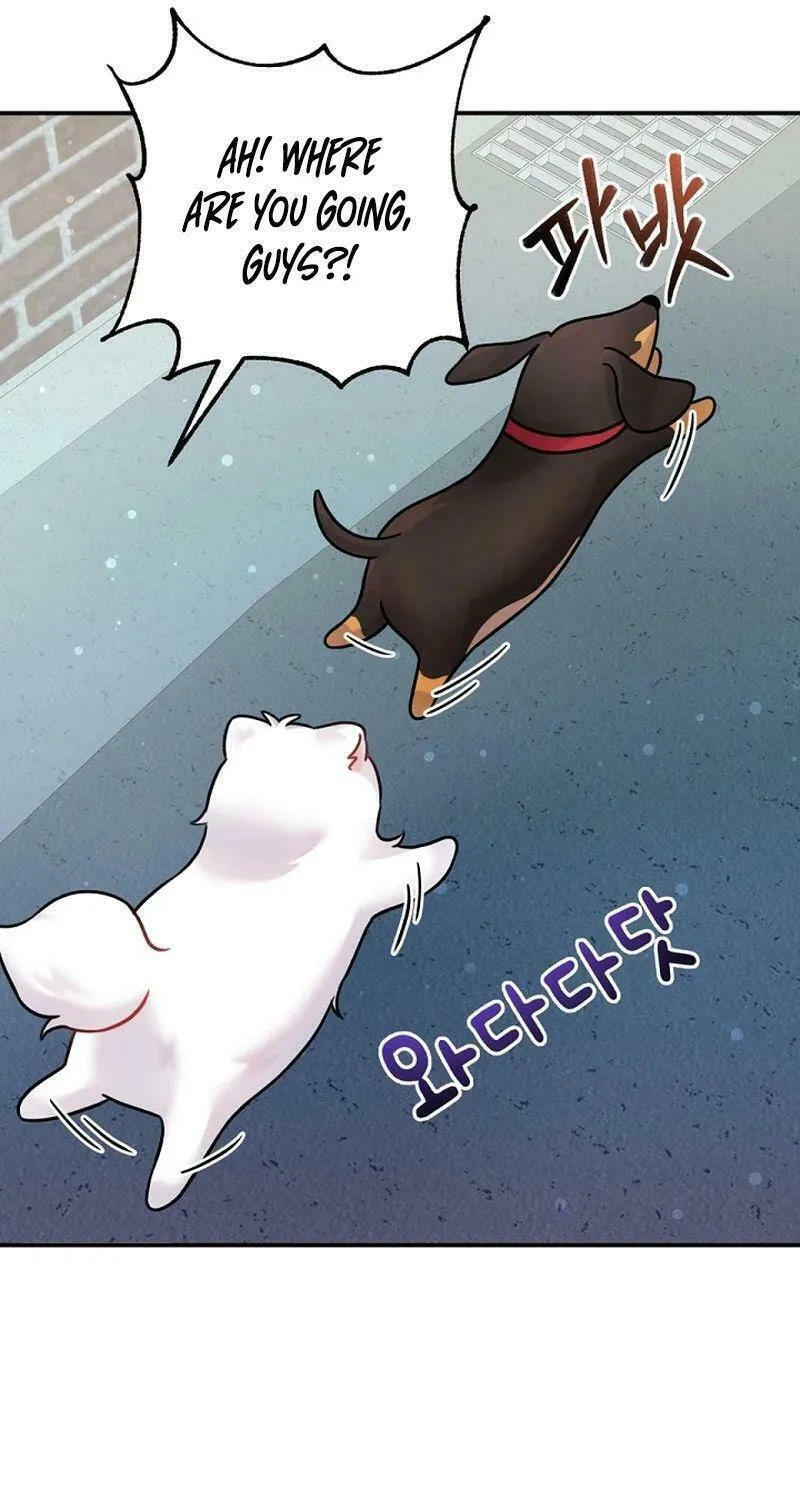 My Masculine Puppy Chapter 12 page 83 - 