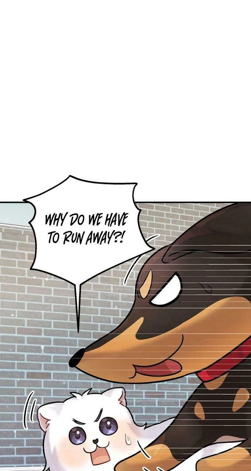 My Masculine Puppy Chapter 12 page 84 - 