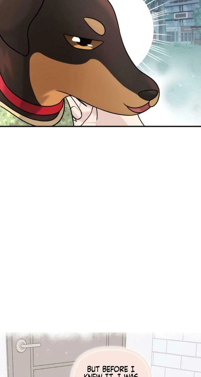My Masculine Puppy Chapter 13 page 20 - 