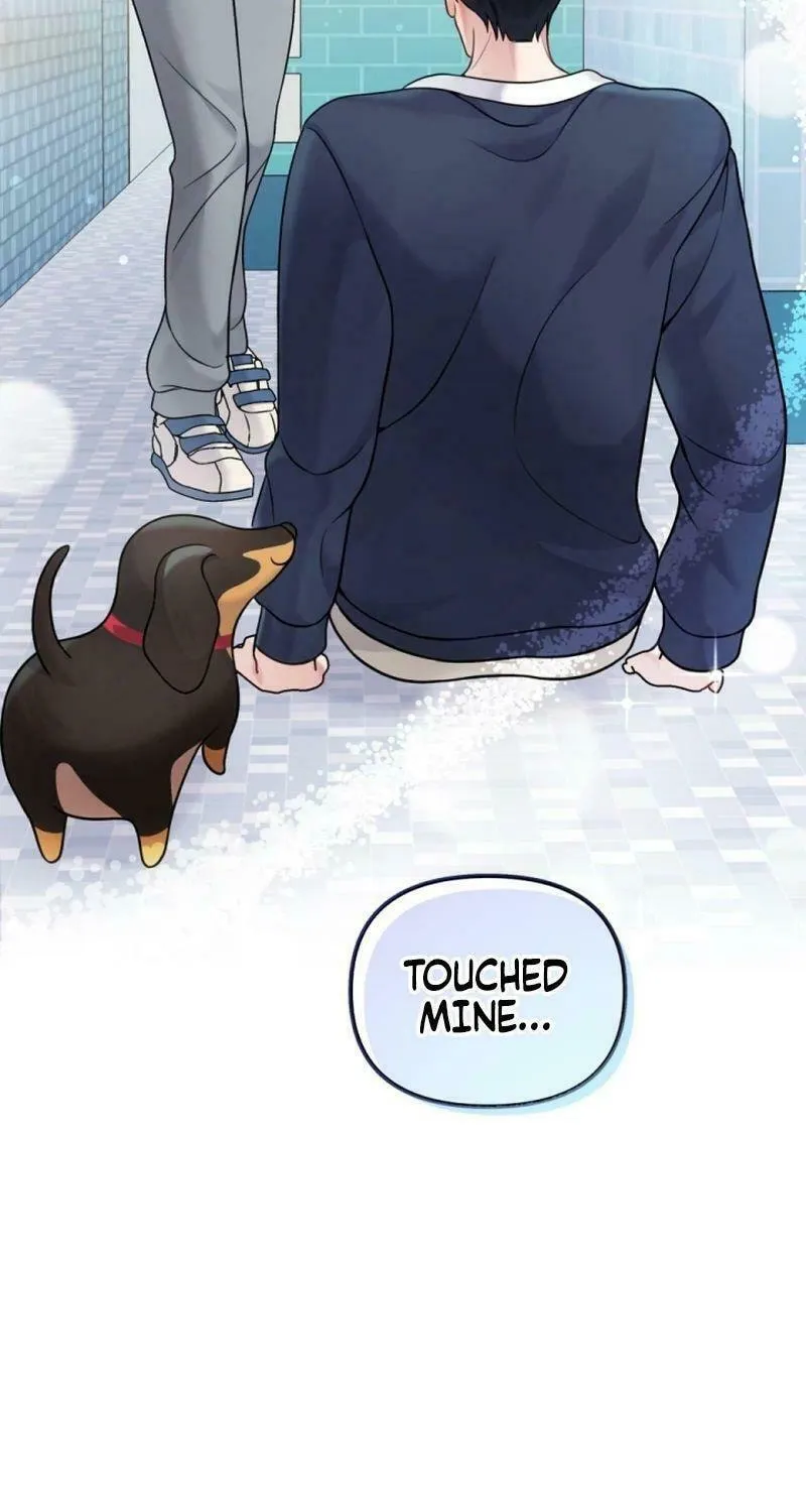 My Masculine Puppy Chapter 13 page 3 - 