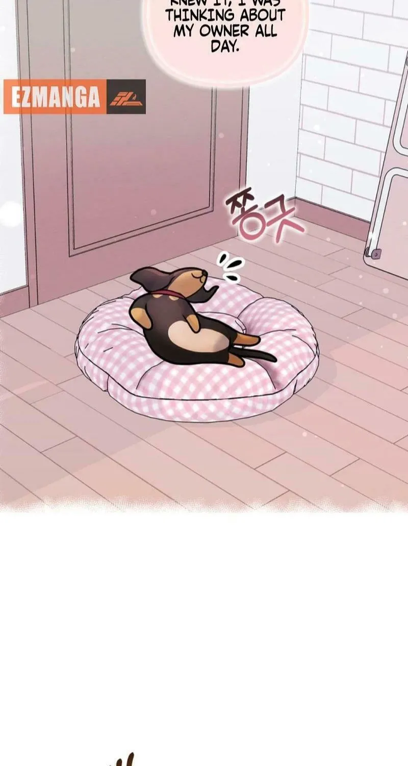 My Masculine Puppy Chapter 13 page 21 - 