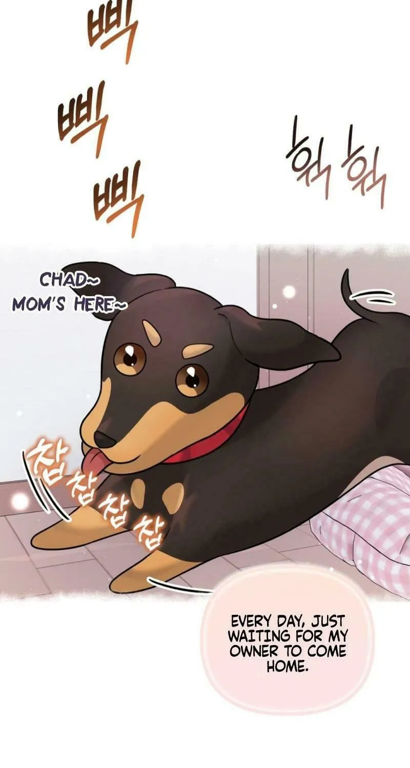My Masculine Puppy Chapter 13 page 22 - 