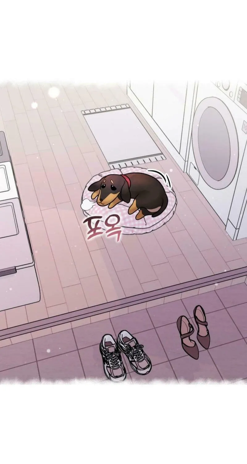 My Masculine Puppy Chapter 13 page 26 - 