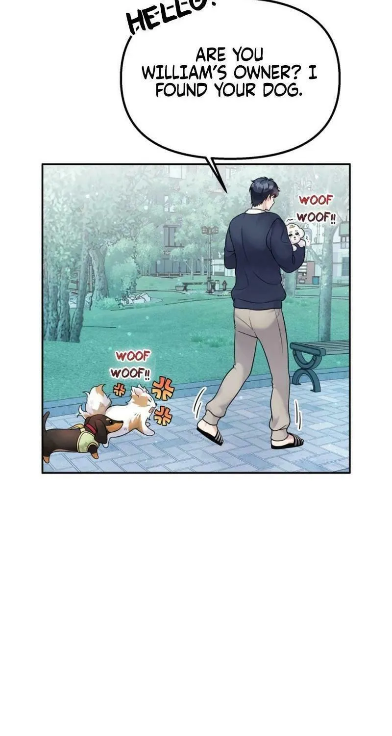 My Masculine Puppy Chapter 13 page 38 - 