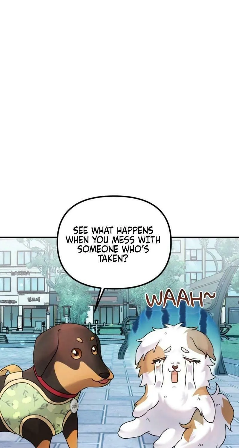 My Masculine Puppy Chapter 13 page 40 - 