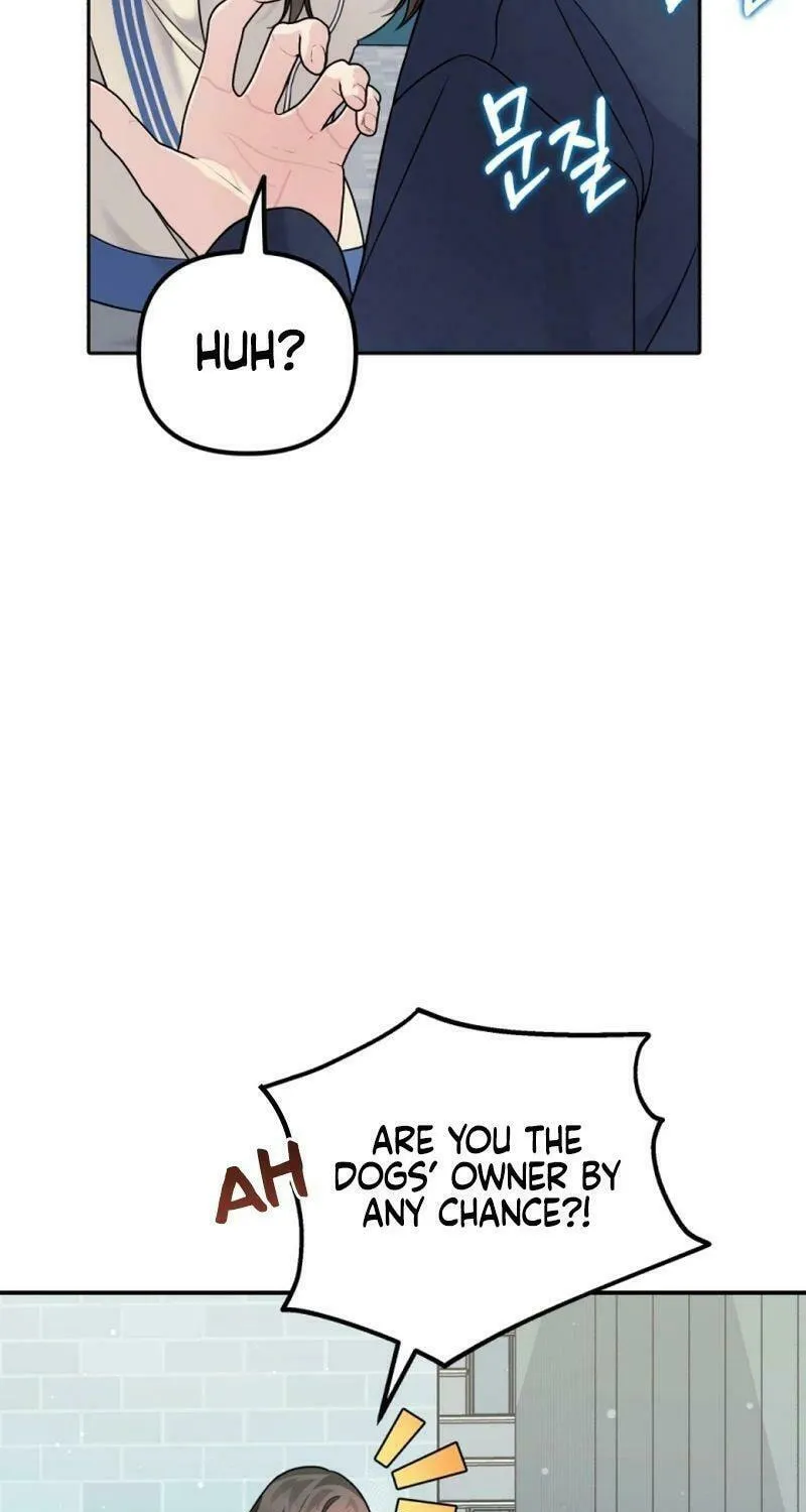 My Masculine Puppy Chapter 13 page 5 - 