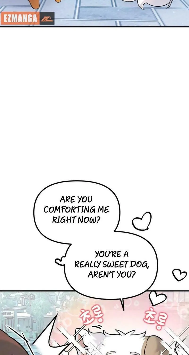 My Masculine Puppy Chapter 13 page 41 - 