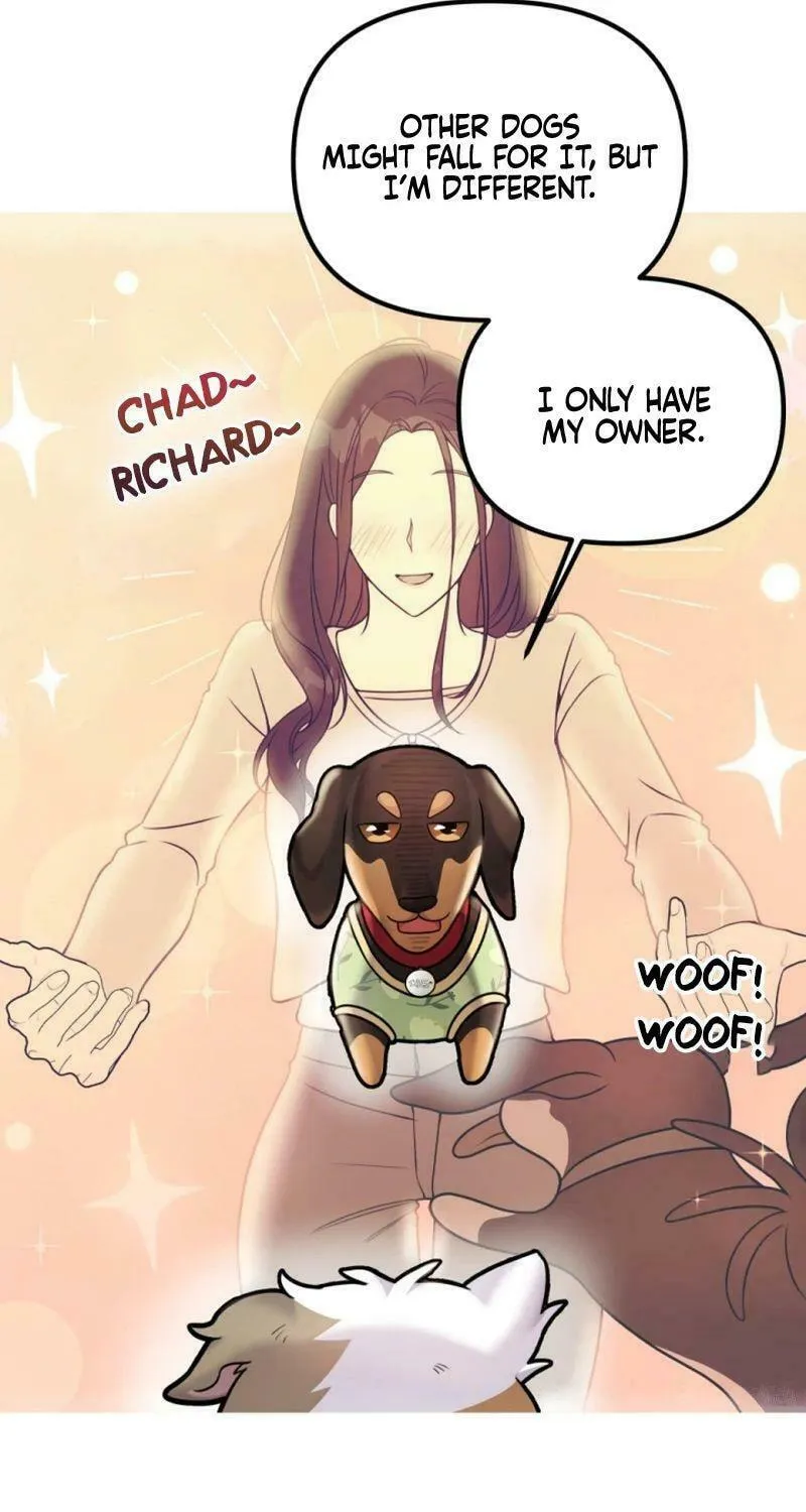 My Masculine Puppy Chapter 13 page 43 - 