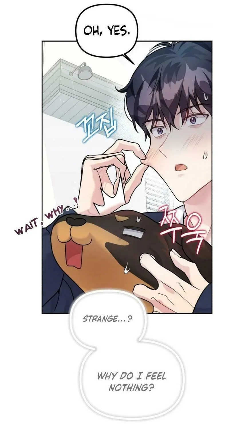 My Masculine Puppy Chapter 13 page 8 - 