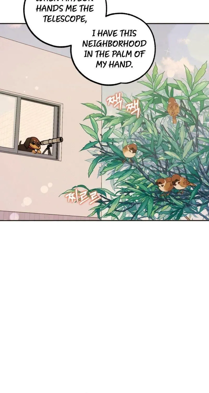 My Masculine Puppy Chapter 14 page 68 - 