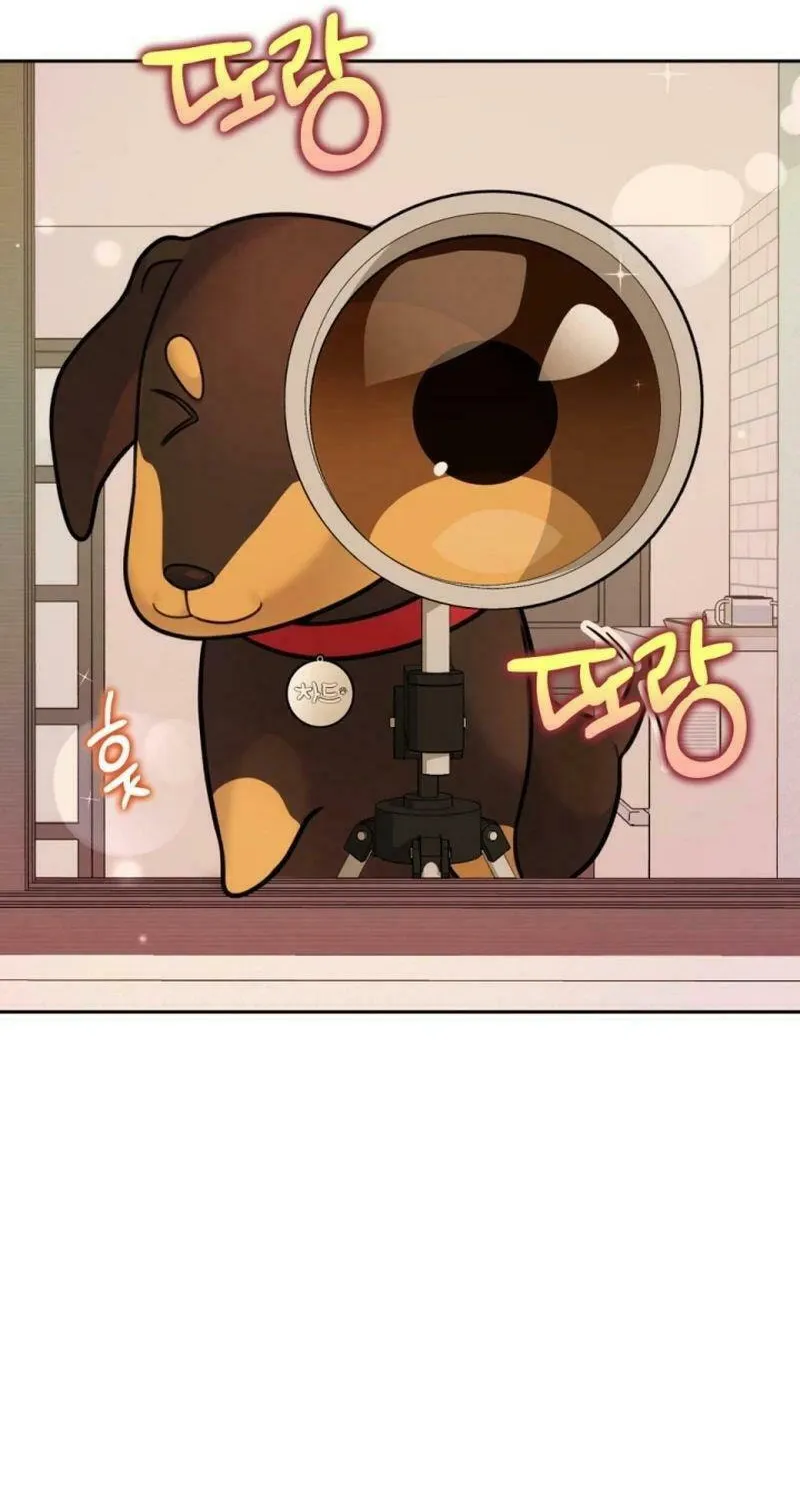 My Masculine Puppy Chapter 14 page 69 - 