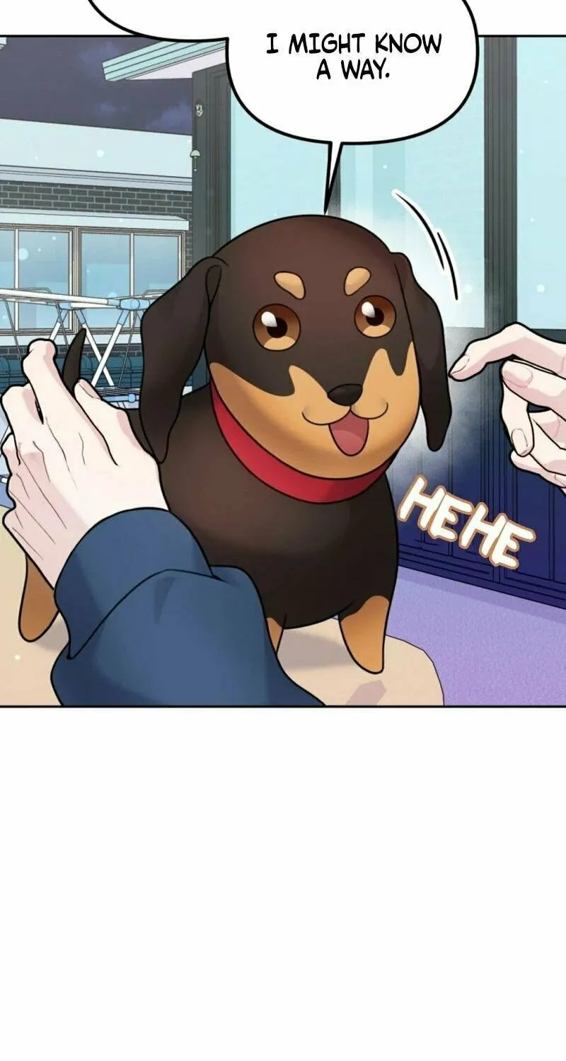 My Masculine Puppy Chapter 14 page 78 - 