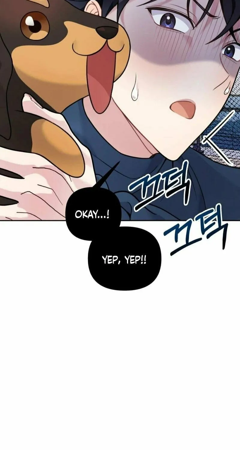 My Masculine Puppy Chapter 14 page 81 - 